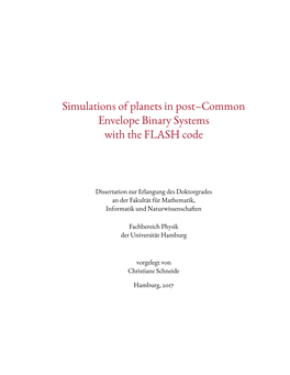 Simulations of Planets in Post–Common Envelope Binary Systems with the FLASH Code