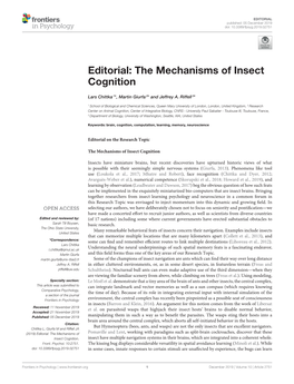The Mechanisms of Insect Cognition