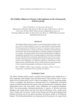 The Psilidae (Diptera) of Israel, with Emphasis on the Chamaepsila Hebraica Group