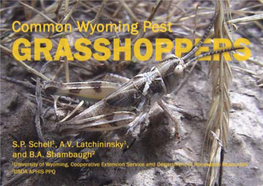 Grasshopper Handbook