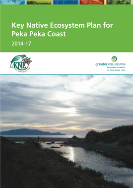 Key Native Ecosystem Plan for Peka Peka Coast 2014-17