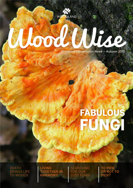 Fabulous Fungi