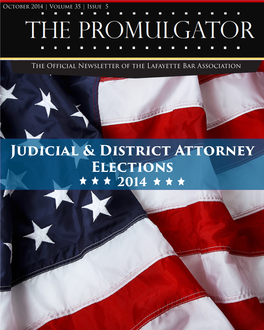 Judicial & District Attorney Elections