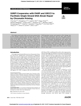 SSRP1 Cooperates with PARP and XRCC1 to Facilitate Single-Strand