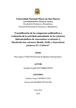 Universidad Nacional Mayor De San Marcos Universidad Del Perú