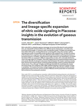 The Diversification and Lineage-Specific Expansion