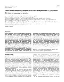 The Caenorhabditis Elegans Ems Class Homeobox Gene Ceh-2 Is Required for M3 Pharynx Motoneuron Function