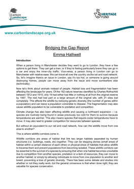 Bridging the Gap Report Emma Halliwell