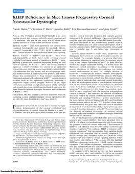 KLEIP Deficiency in Mice Causes Progressive Corneal Neovascular