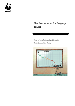 The Economics of a Tragedy at Sea