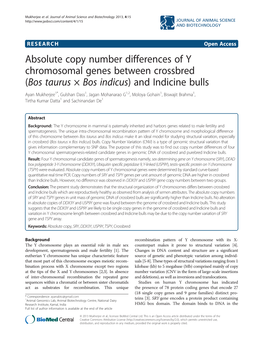 Absolute Copy Number Differences of Y Chromosomal Genes Between