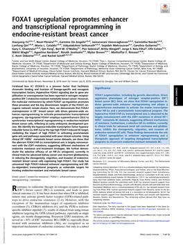 FOXA1 Upregulation Promotes Enhancer and Transcriptional Reprogramming in Endocrine-Resistant Breast Cancer