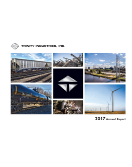 2017Annual Report