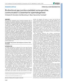 Bi-Directional Gap Junction-Mediated Soma-Germline Communication Is Essential for Spermatogenesis Christopher M