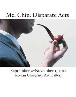 Mel Chin: Disparate Acts