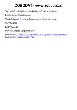(Leucojum) Und Schneeglöckchen (Galanthus) Im Landkreis Celle 27-29 Floristische Notizen Aus Der Lüneburger Heide 28 (2020) 27 ______