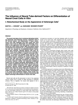 The Influence of Neural Tube-Derived Factors on Differentiation of Neural Crest Cells in Vitro I