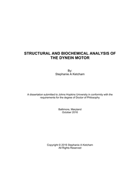 Structural and Biochemical Analysis of the Dynein Motor