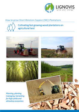 How to Grow Short Rotation Plantations