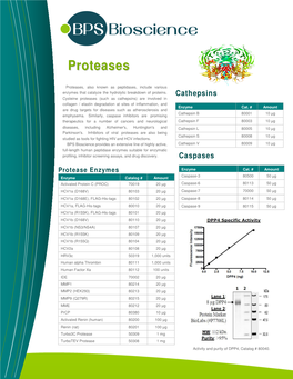 Proteases, Also Known As Peptidases, Include Various Enzymes That Catalyze the Hydrolytic Breakdown of Proteins