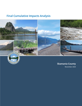 Final Cumulative Impacts Analysis