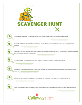 Mega-Bug-Scavenger-Hunt.Pdf