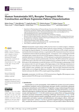 Human Somatostatin SST4 Receptor Transgenic Mice: Construction and Brain Expression Pattern Characterization