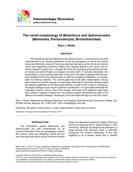 The Narial Morphology of Metarhinus and Sphenocoelus (Mammalia, Perissodactyla, Brontotheriidae)