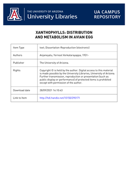 Xanthophylls: Distribution and Metabolism in Avian Egg