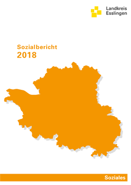 Sozialbericht 2018