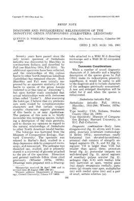 Diagnosis and Phylogenetic Relationships of the Monotypic Genus Stetholiodes (Coleoptera: Leiodidae)1 Quentin D