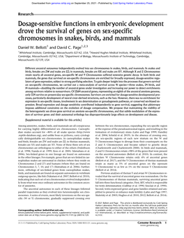 Dosage-Sensitive Functions in Embryonic Development Drove the Survival of Genes on Sex-Specific Chromosomes in Snakes, Birds, and Mammals
