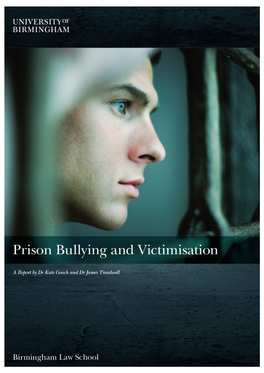 Prison Bullying and Victimisation