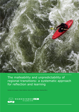 The Malleability and Unpredictability of Regional Transitions: a Systematic Approach for Reflection and Learning