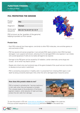 FUNCTION FINDERS Protein Profiles