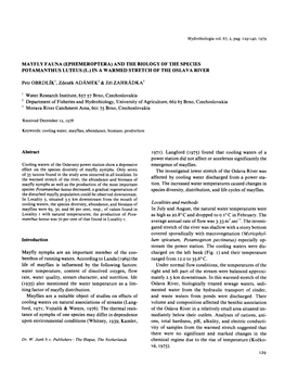 (Ephemeroptera) and the Biology of the Species Potamanthus Luteus (L.) in a Warmed Stretch of the Oslava River