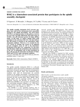 RSK2 Is a Kinetochore-Associated Protein That Participates in the Spindle Assembly Checkpoint