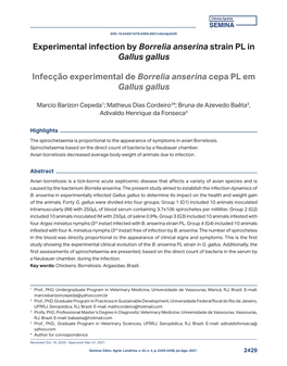 Experimental Infection by Borrelia Anserina Strain PL in Gallus Gallus