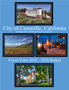 Fiscal Years 2018-2020 Budget