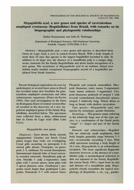 Megagidiella Azul, a New Genus and Species of Cavernicolous