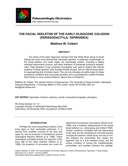 The Facial Skeleton of the Early Oligocene Colodon (Perissodactyla, Tapiroidea)