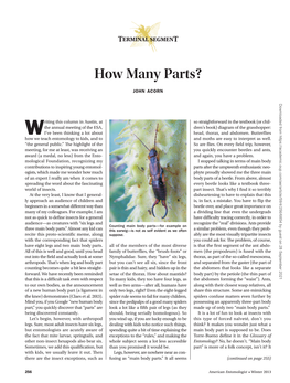 TERMINAL SEGMENT: How Many Parts?