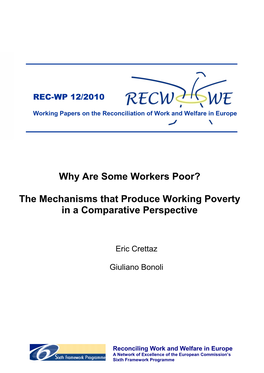 Why Are Some Workers Poor? the Mechanisms That Produce Working Poverty in a Comparative Perspective