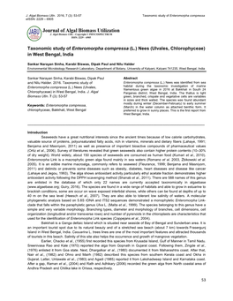 Taxonomic Study of Enteromorpha Compressa (L.) Nees (Ulvales, Chlorophyceae) in West Bengal, India