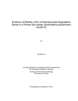 Evidence of Mobility in the 3-Chlorobenzoate Degradative