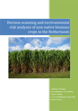 Horizon Scanning and Environmental Risk Analyses of Non-Native Biomass Crops in the Netherlands