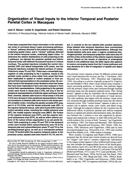 Organization of Visual Inputs to the Inferior Temporal and Posterior Parietal Cortex in Macaques