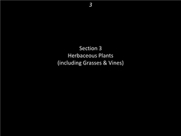 3 Section 3 Herbaceous Plants (Including Grasses & Vines)