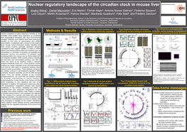 Nuclear Regulatory Landscape of the Circadian Clock in Mouse Liver