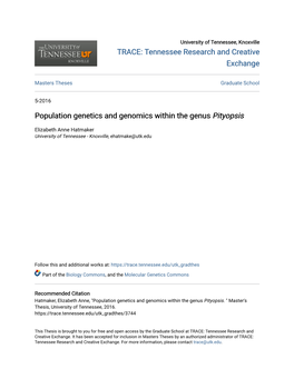 Population Genetics and Genomics Within the Genus &lt;I&gt;Pityopsis&lt;/I&gt;